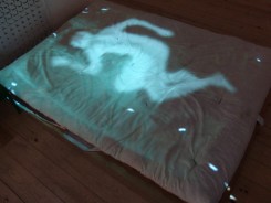 Domestic_Archaeology_Feature2