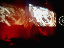 ocularis_feat
